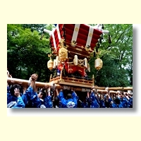 11月の作品(京都水族館)