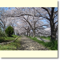 高橋 吉郎