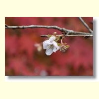竹村 憲治