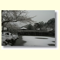 上田 正美